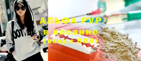 ECSTASY Алзамай