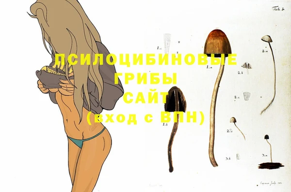 кокс Няндома