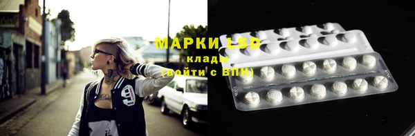 ECSTASY Алзамай