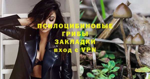 дмт Алексин