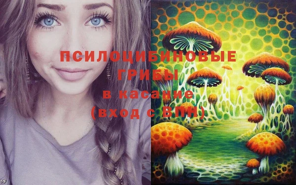 дмт Алексин