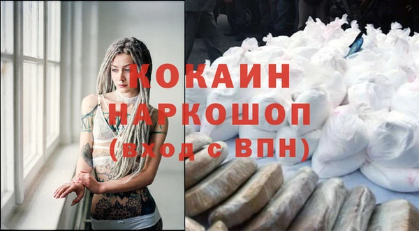ECSTASY Алзамай