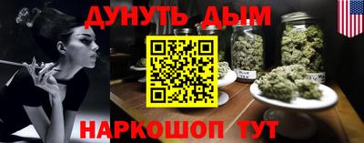крисы Кингисепп