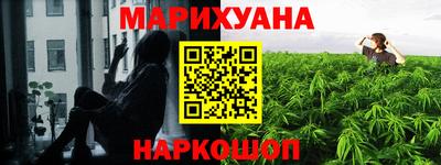крисы Кингисепп