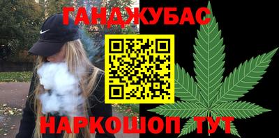 крисы Кингисепп