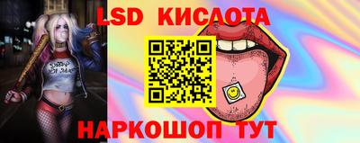 крисы Кингисепп