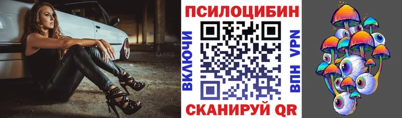 Галлюциногенные грибы Psilocybine cubensis  купить наркотики сайты  Сунжа 