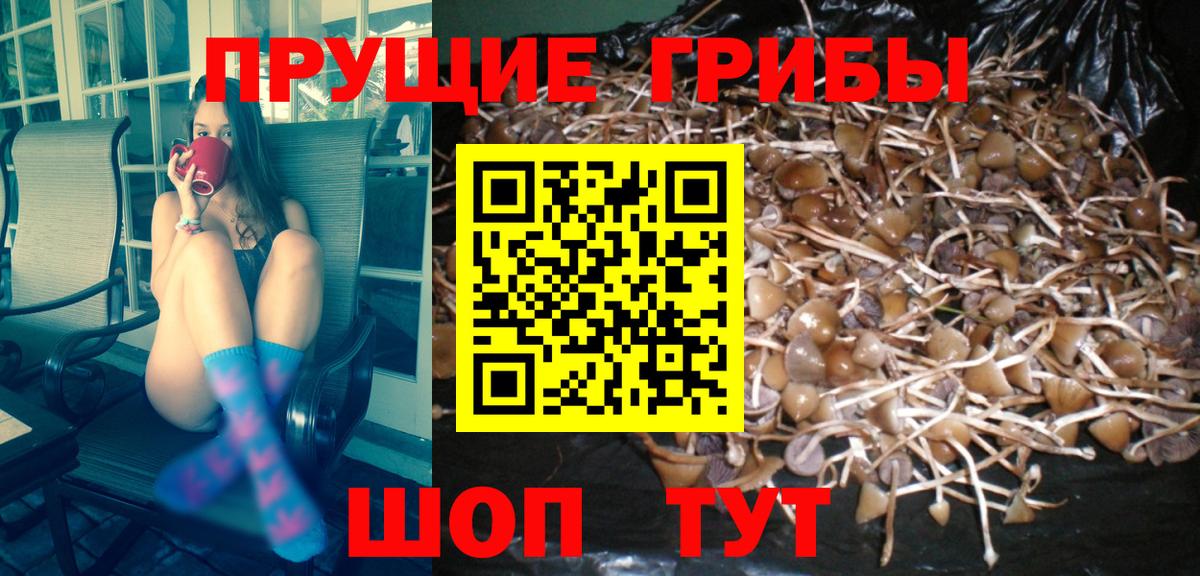 Псилоцибиновые грибы MAGIC MUSHROOMS Сунжа