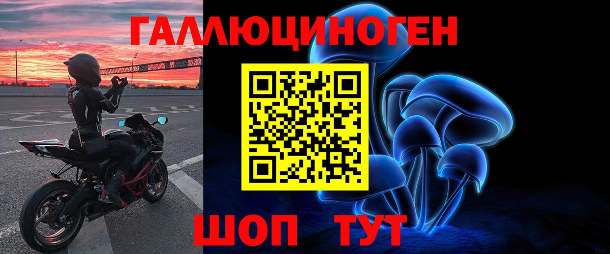 Сунжа  где найти наркотики  Вход с VPN  Псилоцибиновые грибы мухоморы 