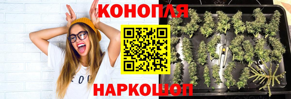 Канабис Amnesia Сунжа